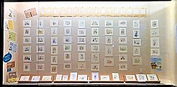 【展示】『なかむらさん家の子育て日記』原画展　展示が変わりました